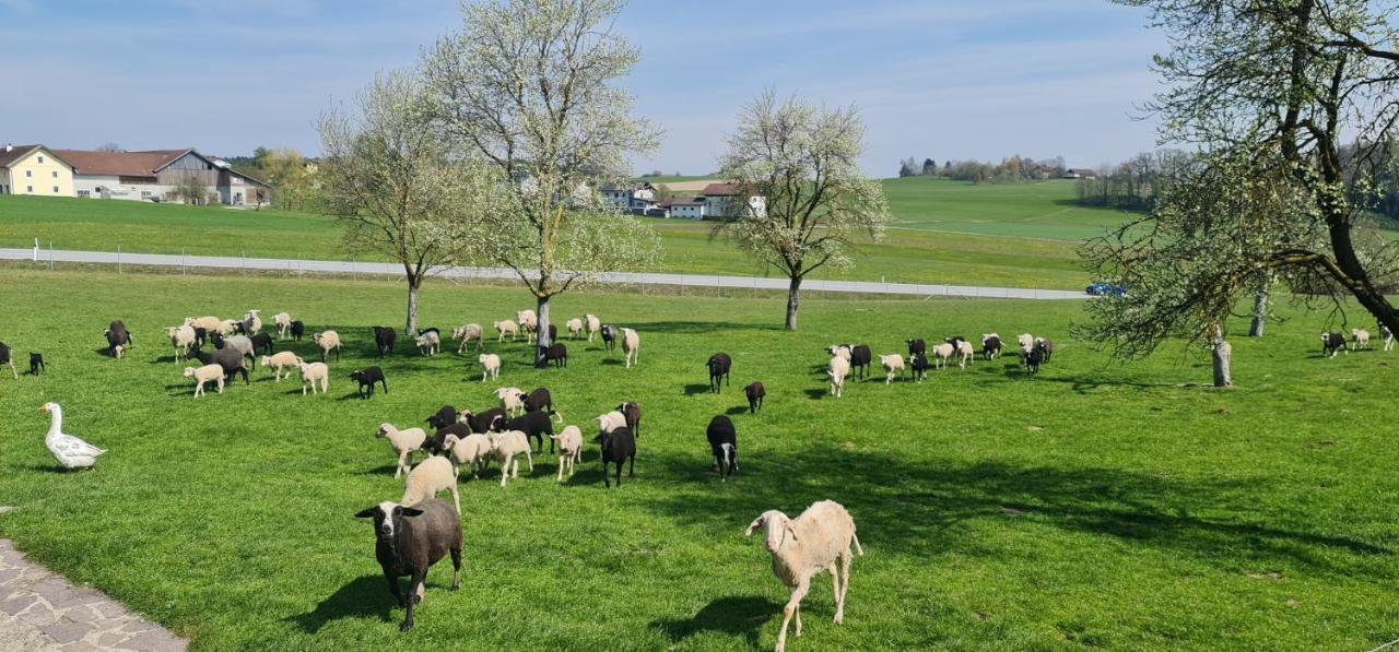 Landgasthof Entenwirt Tarsdorf Exterior foto